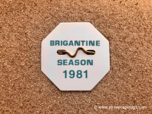 Brigantine 1981 Seasonal Beach Tag