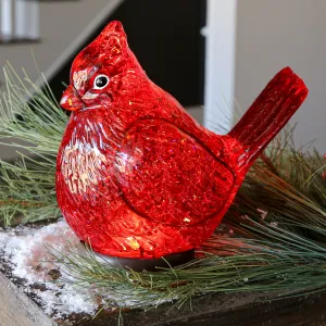 Cardinal Snow Globe