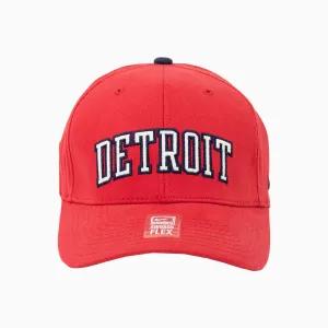 Detroit Lions NFL Hat