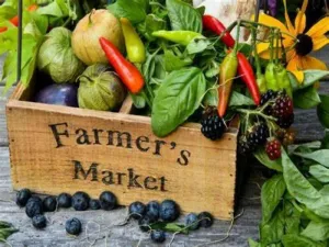 Farmer's Market Business Plan