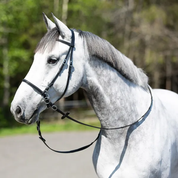 Leather Bitless Bridle - FREE Custom Name Tag