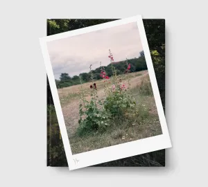 Limited edition print (B)   book: 'The Hackney Marshes'