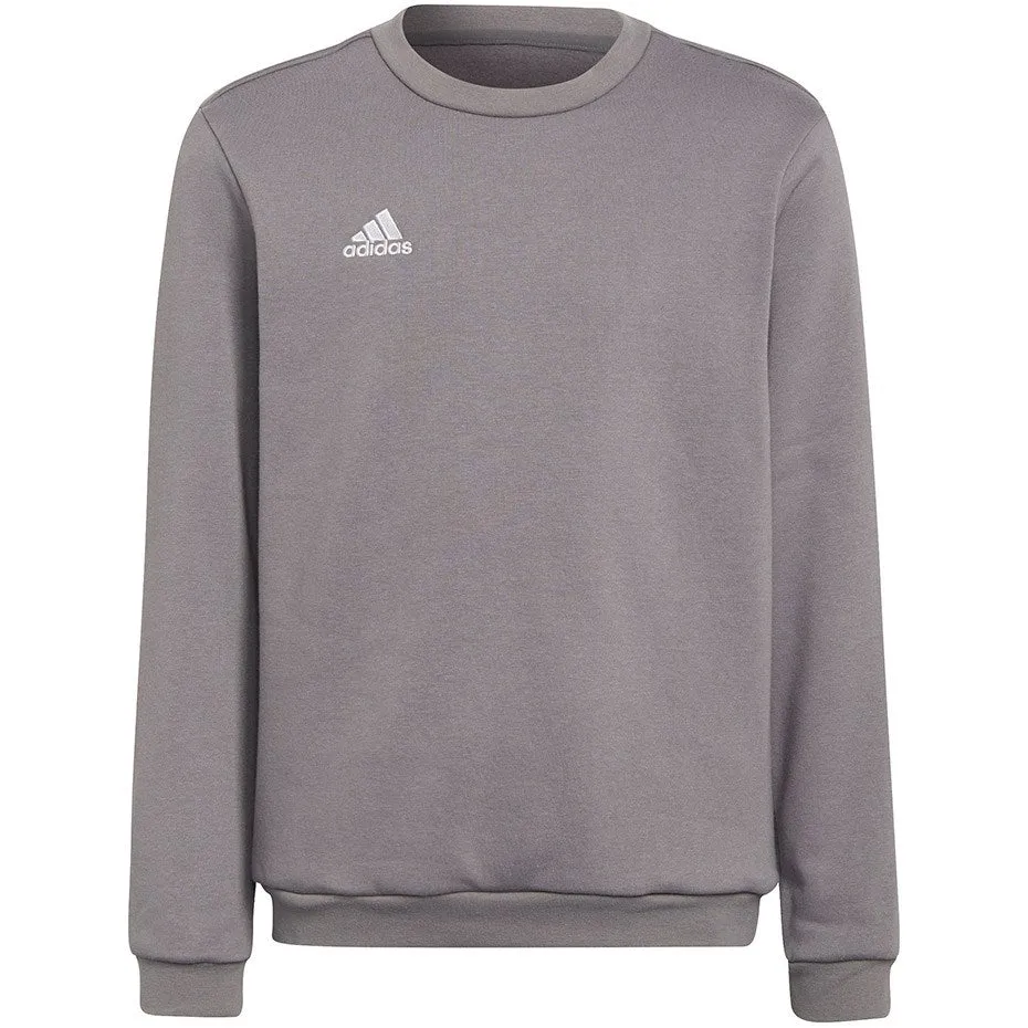 Sweatshirt For Kids Adidas Entrada 22 Sweat Top Gray H57477 116Cm